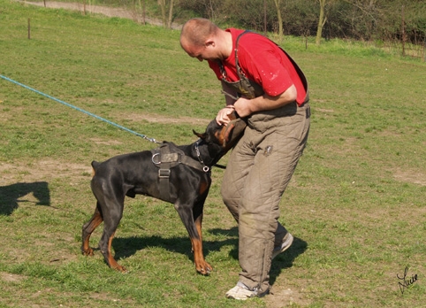 Santa Julf Efrat - training 26. 3. 2007